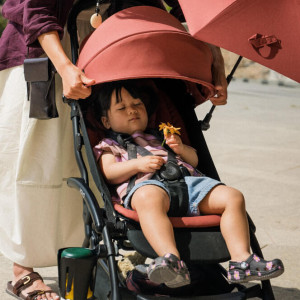 Pack Couleur YOYO5 6+ "Berry" Stokke