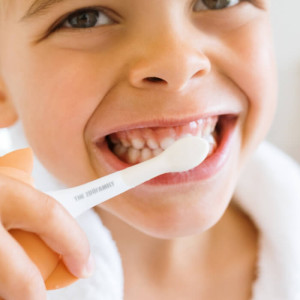 Brosse à dents électrique enfant "Dino" (3 ans et +) The Zoo Family