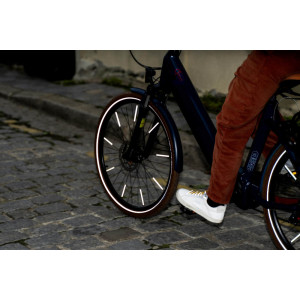 Réflecteurs pour roues de vélo "Or" Rainette