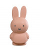 Tirelire "Miffy Rose Poudré" (19 cm) 