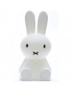 Lampe LED "Miffy" (50 cm)